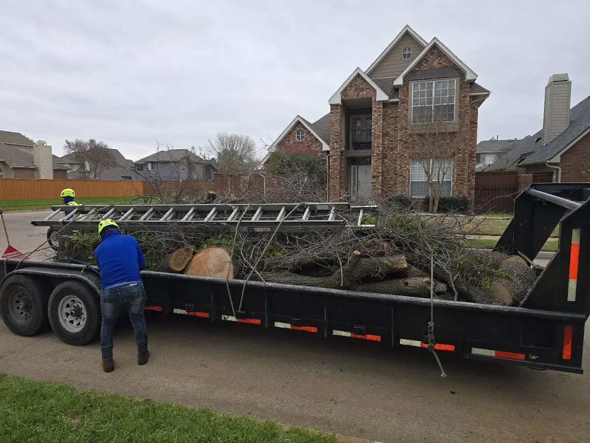 Expert Lot Clearing with proper safety equipment in Rainbow